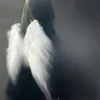 zuuu_zz