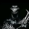 sanie_2024