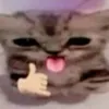tekizaee