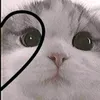 me_gusta_floricienta