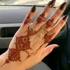 useramiranour