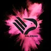 palermonelcuorerosa