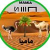 abdel_artass0
