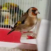 fernandamagnan
