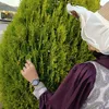 aya.wisam01