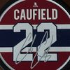 cjfaux06
