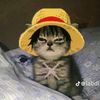 tomatoide24