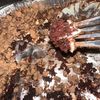 foodieeisme