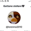 fanpagegattonestellare
