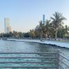 asma.alzaid