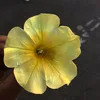nyahilla