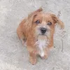 manu_zinha_z