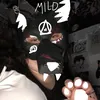 misty_on1paws