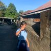 haaw_