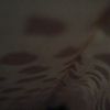 piti_2512