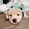 kevstar_04