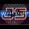 jaguarsharksnetwork