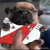 lisandrorodrguez2