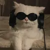 joelitosebastian15