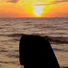 nisa.shofi23