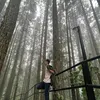 jezboy.alemorin