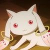 thedamnmadokacat
