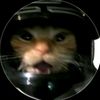 ngell_772