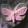 user29281000382