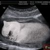 mira_aawww