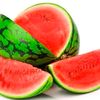 sandia243