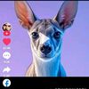 user7560661024081