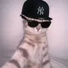 frogg_wmkp