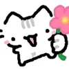 cutitho0