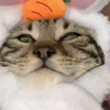 ujinxpowpowu