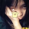 nith_nith1629