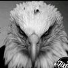 user4347277514063