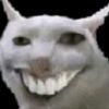 dizsukaturu