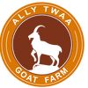 ally.twalib.ally