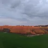 blackdagness