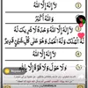 khalidjan7355
