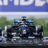 mercedesamgf1_fan