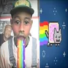 hamstercmb