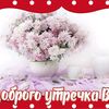 alfia0809al