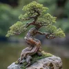 BONSAI MAGIC