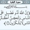 malekmalek5441