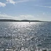 durotlnepx2