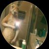 alan2062675
