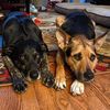 jaxandwyatt