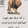 user7980568337907