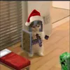lekcjapokory423